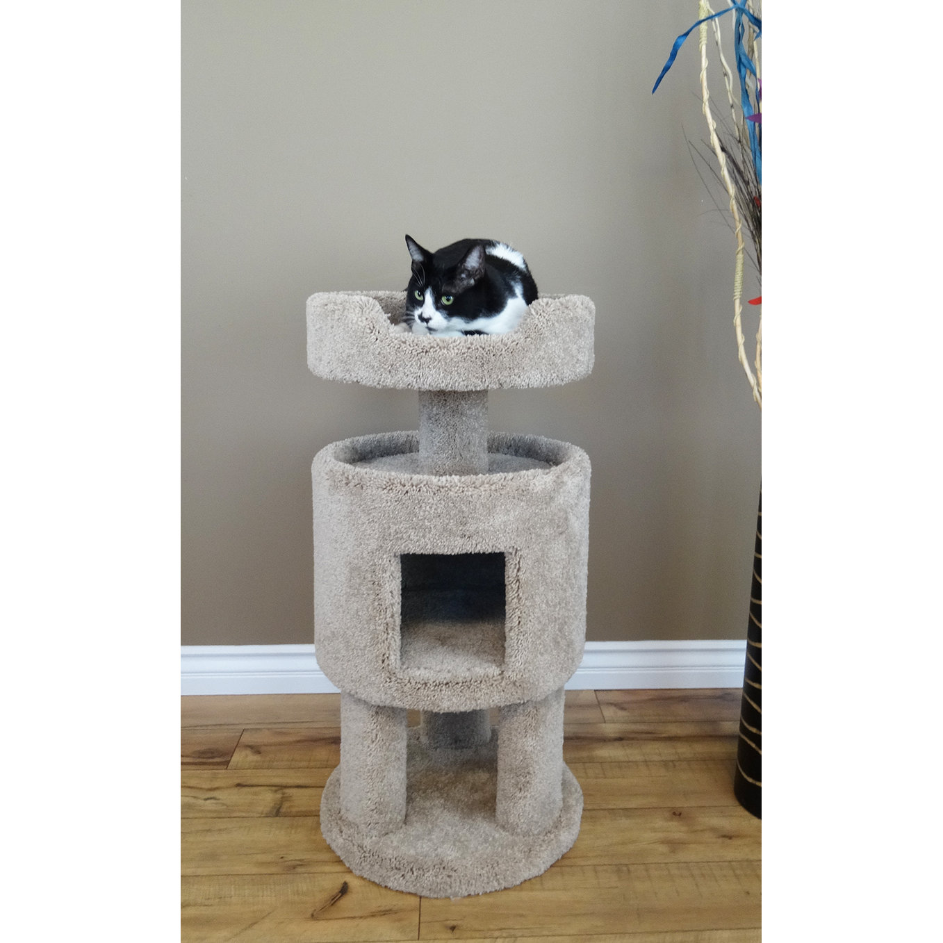 New Cat Condos 32" Premier Contemporary Cat Condo & Reviews Wayfair